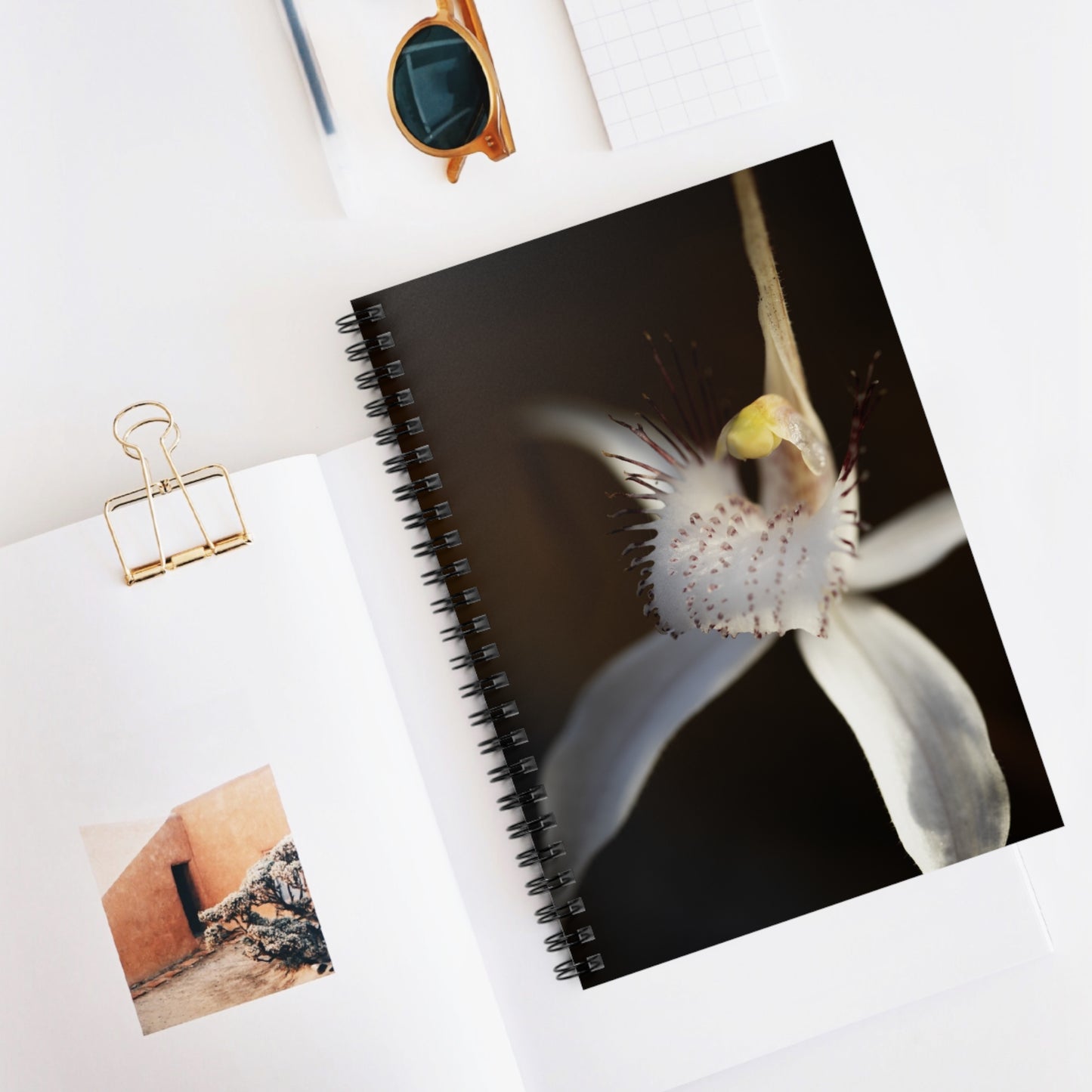 White Spider Orchid Notebook