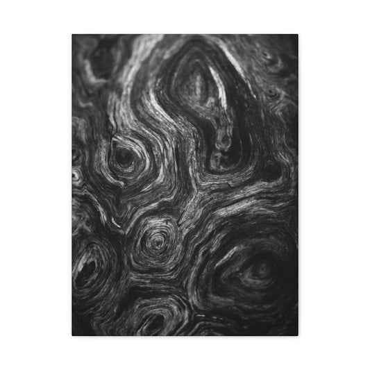 Wood Grain 2 BW Canvas Print