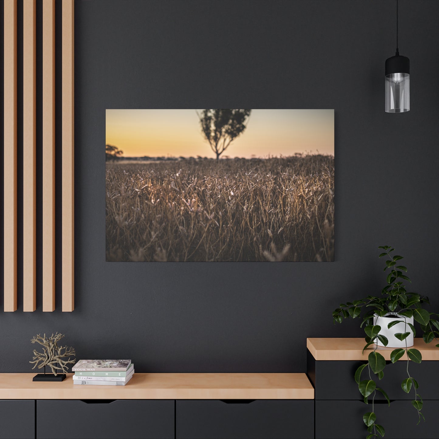 Paddock 1 Canvas Print