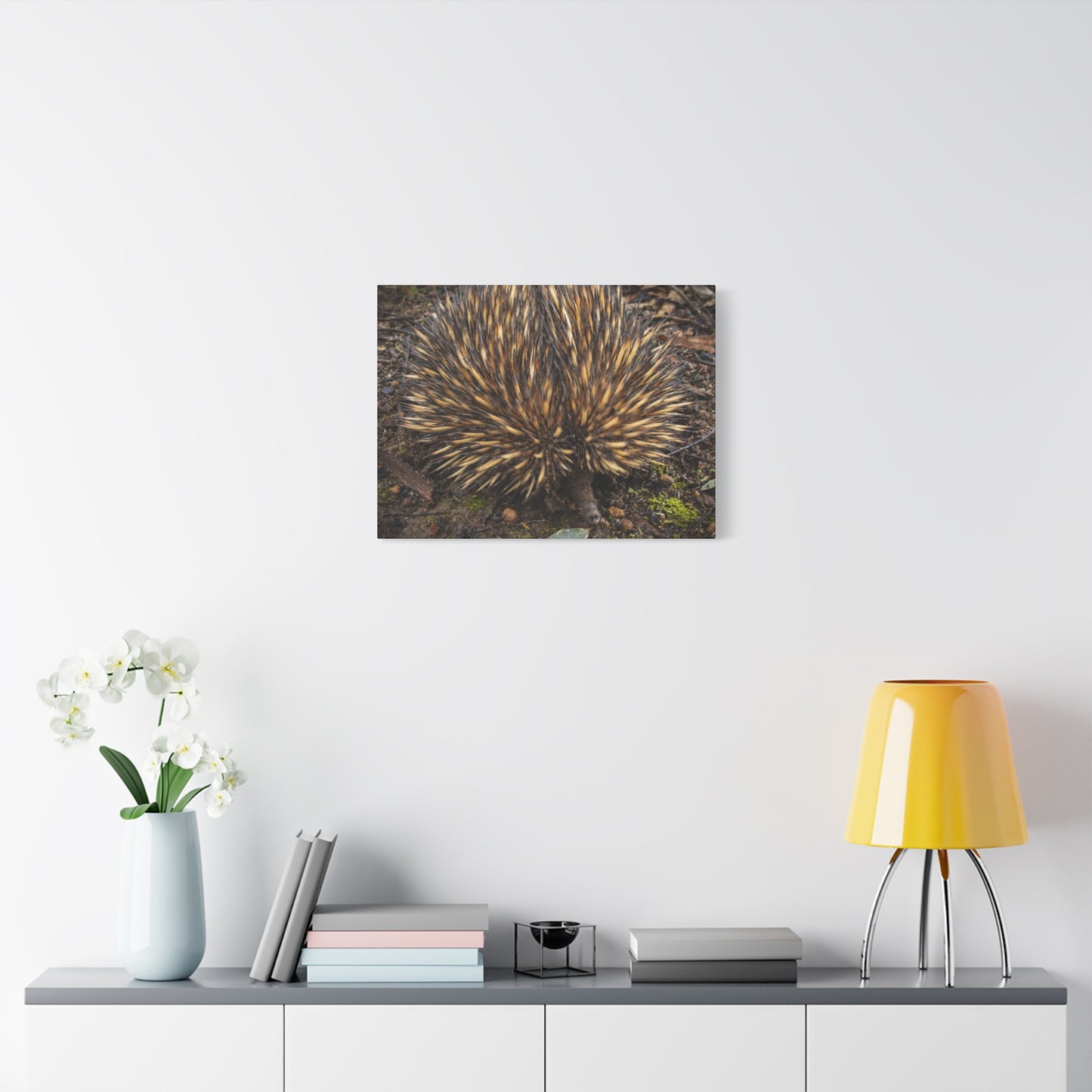 Spikey Canvas Print