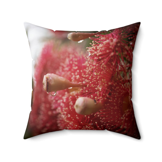 Red Flowering Gum Cushion