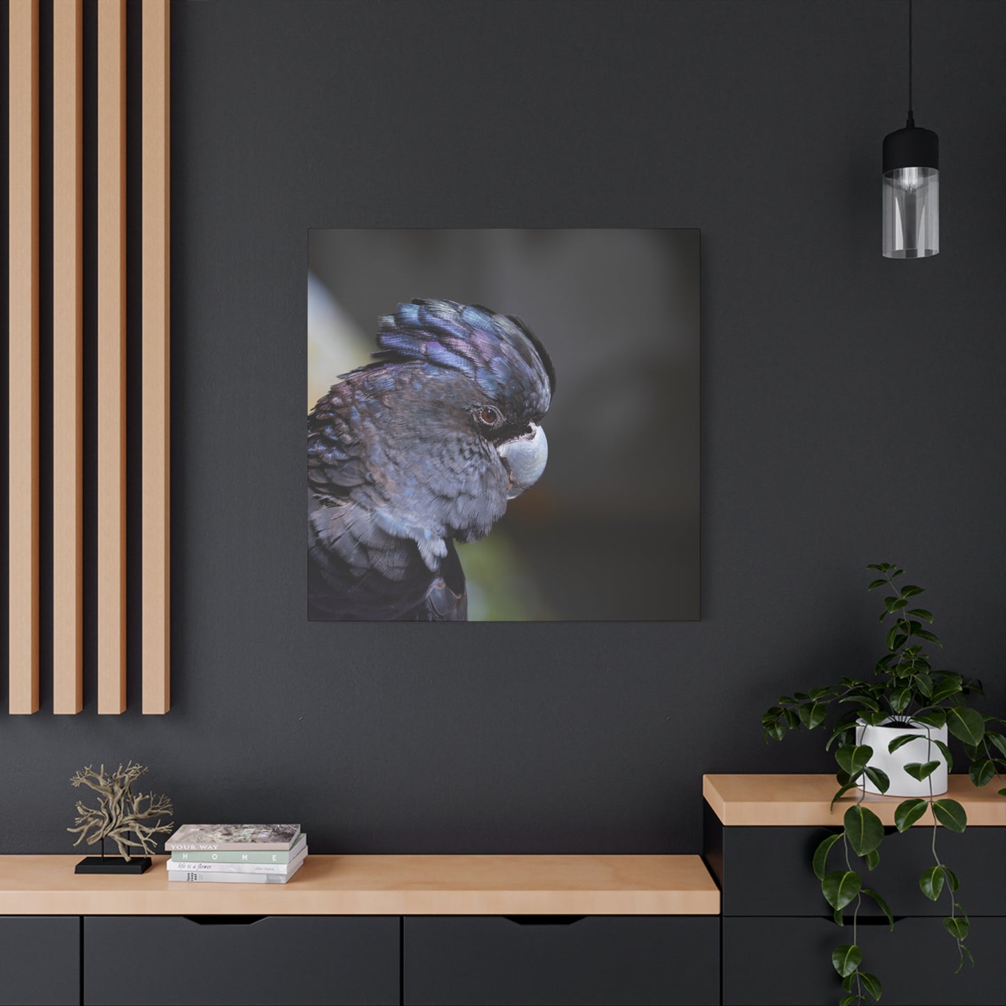 Black Big 2 Canvas Print