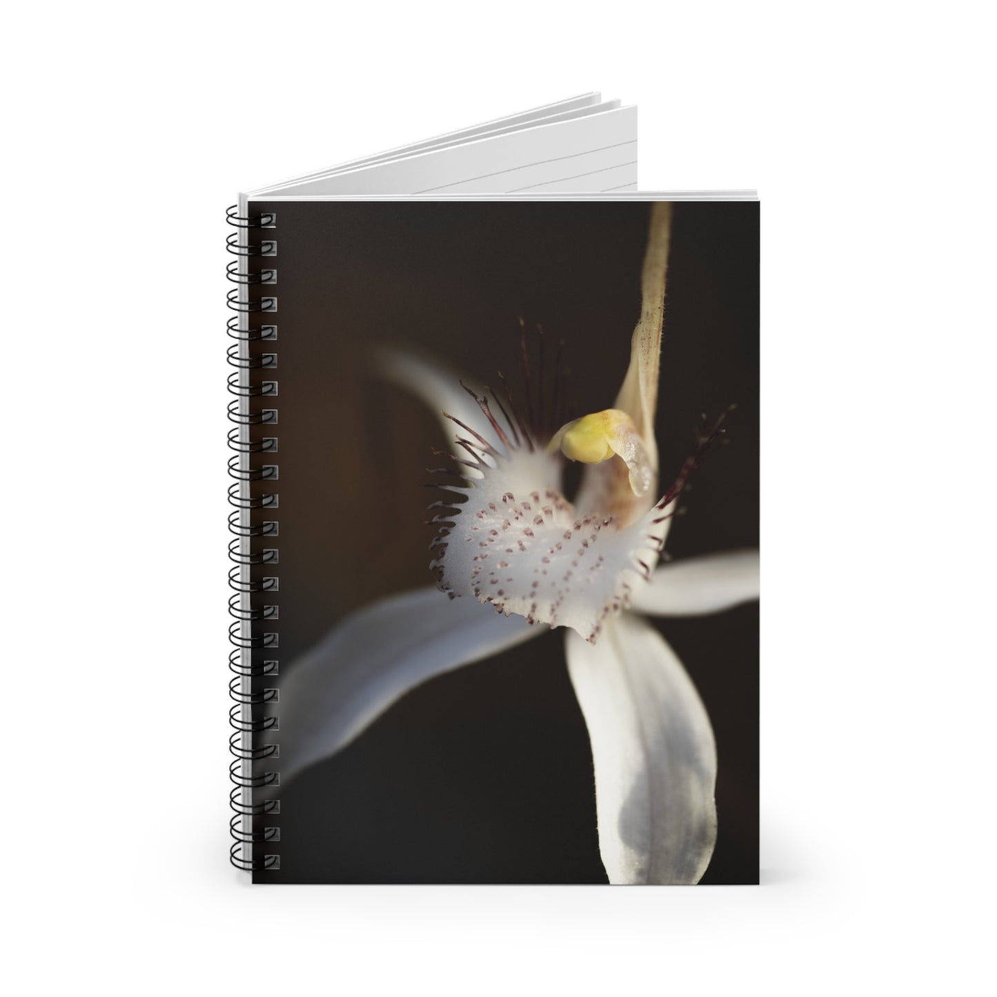 White Spider Orchid Notebook