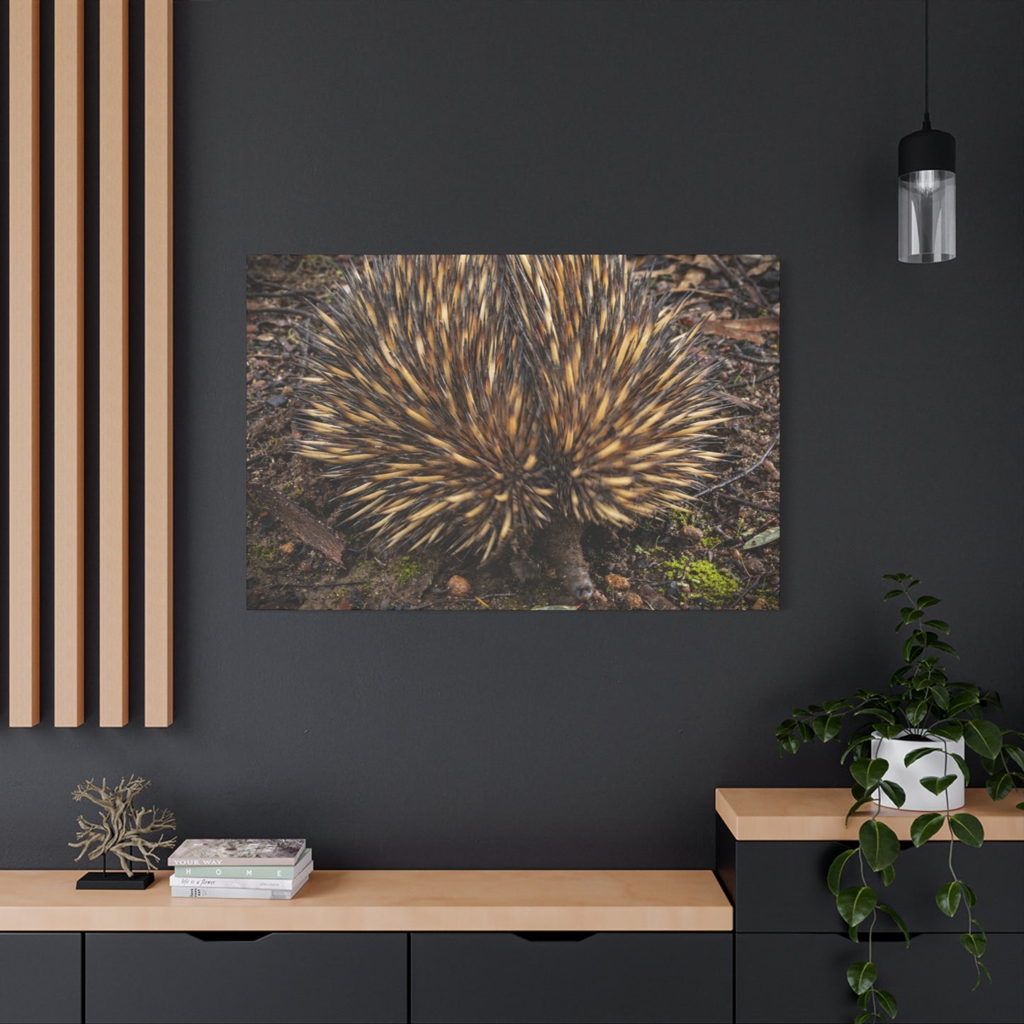 Spikey Canvas Print