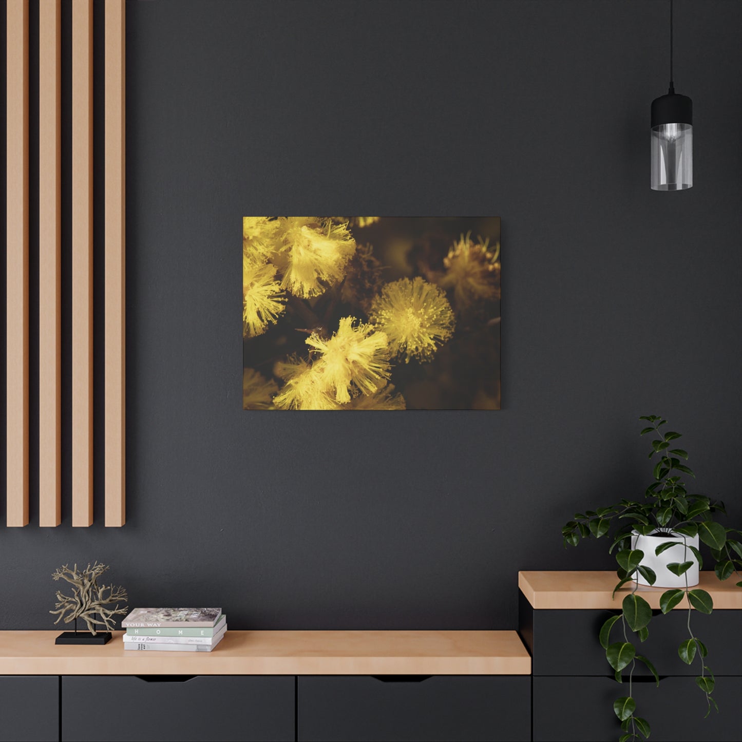 Wattle Canvas Print