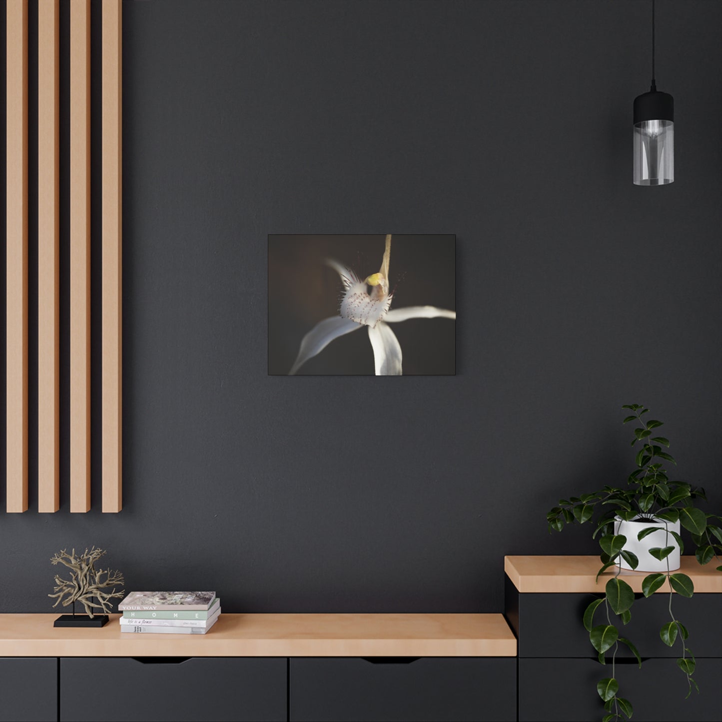 White Spider Orchid Canvas Print