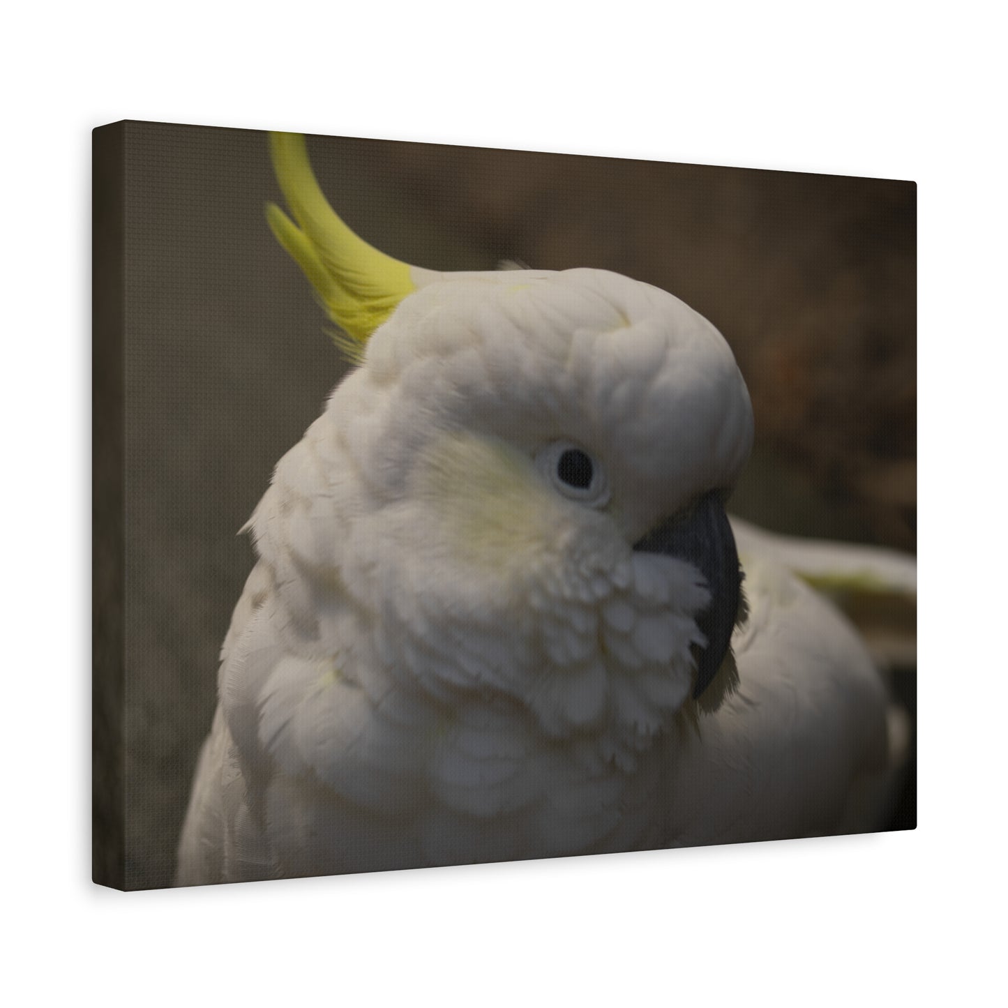 White Bird Canvas Print