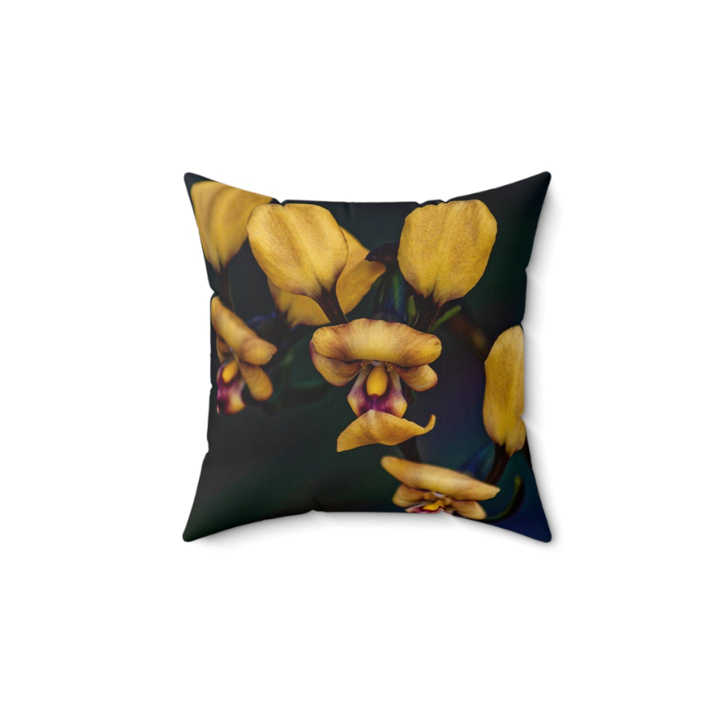 Donkey Orchid Square Pillow