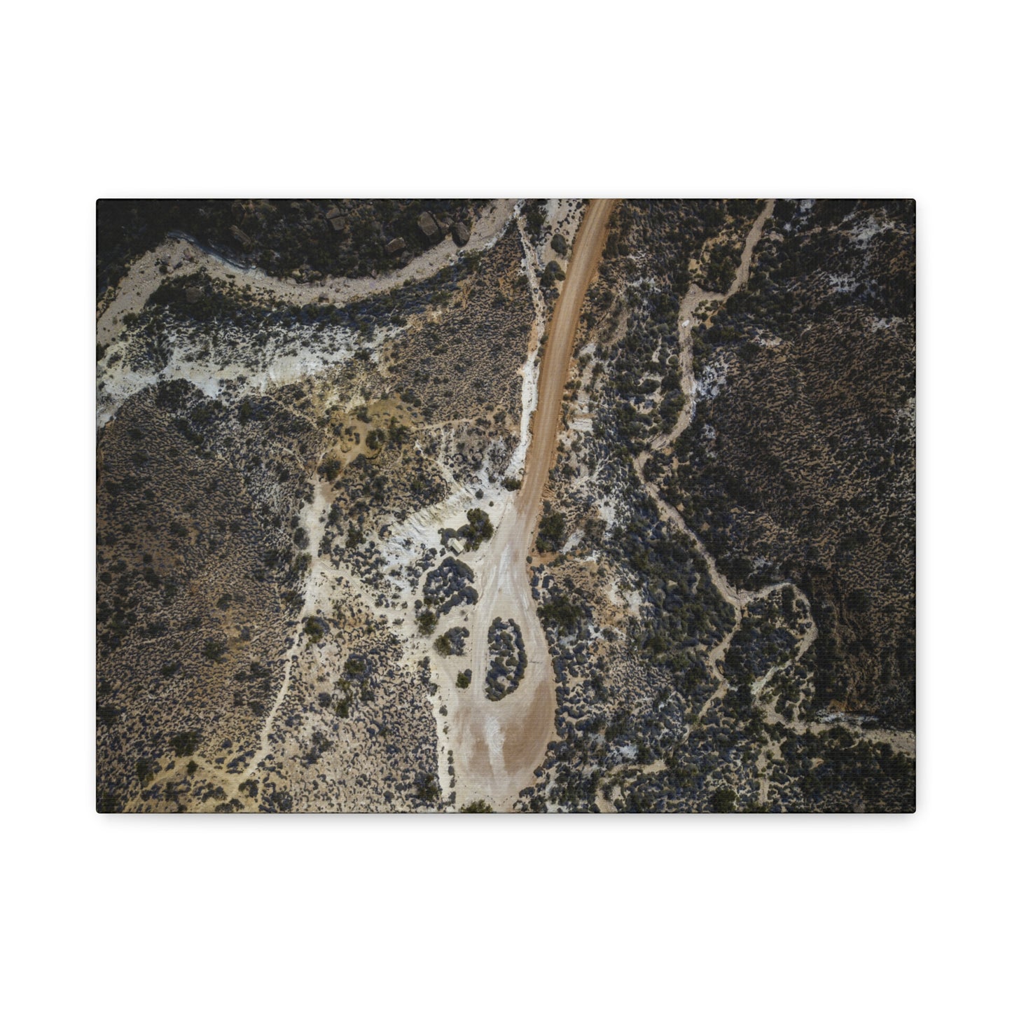 Roadmap Canvas Print