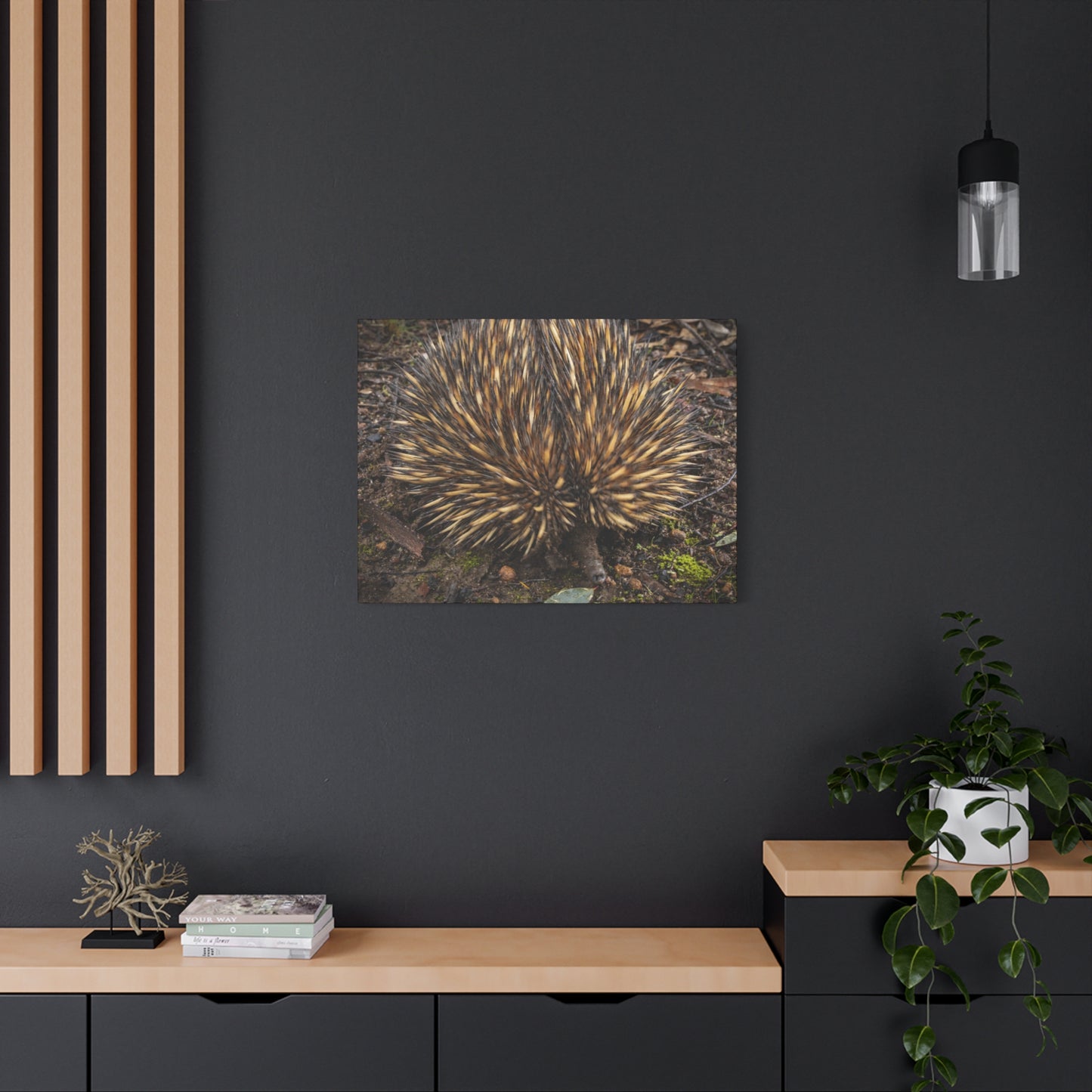 Spikey Canvas Print