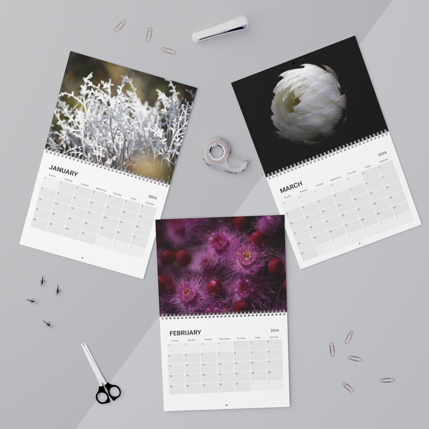 Wildflower Calendar (2024)