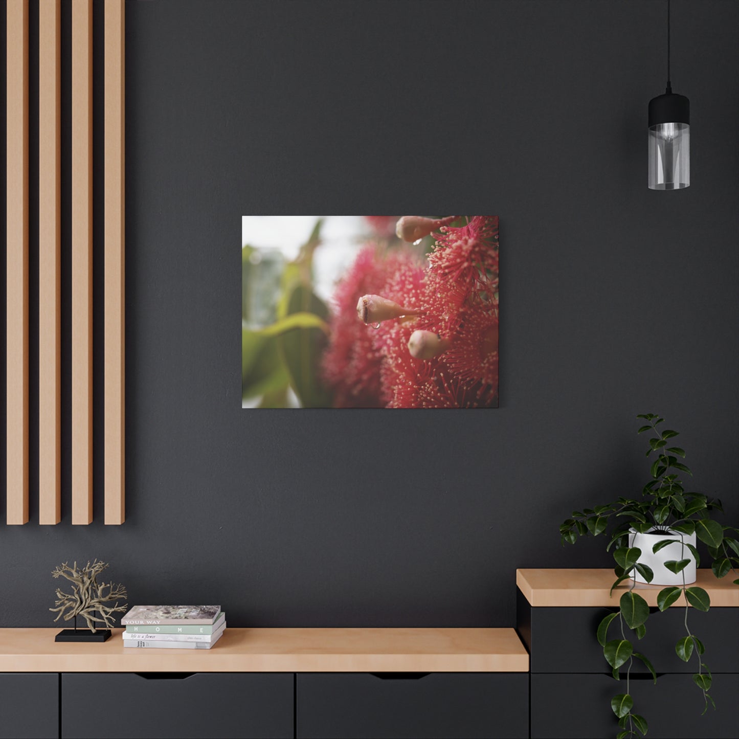 Flowering Gum Canvas Print