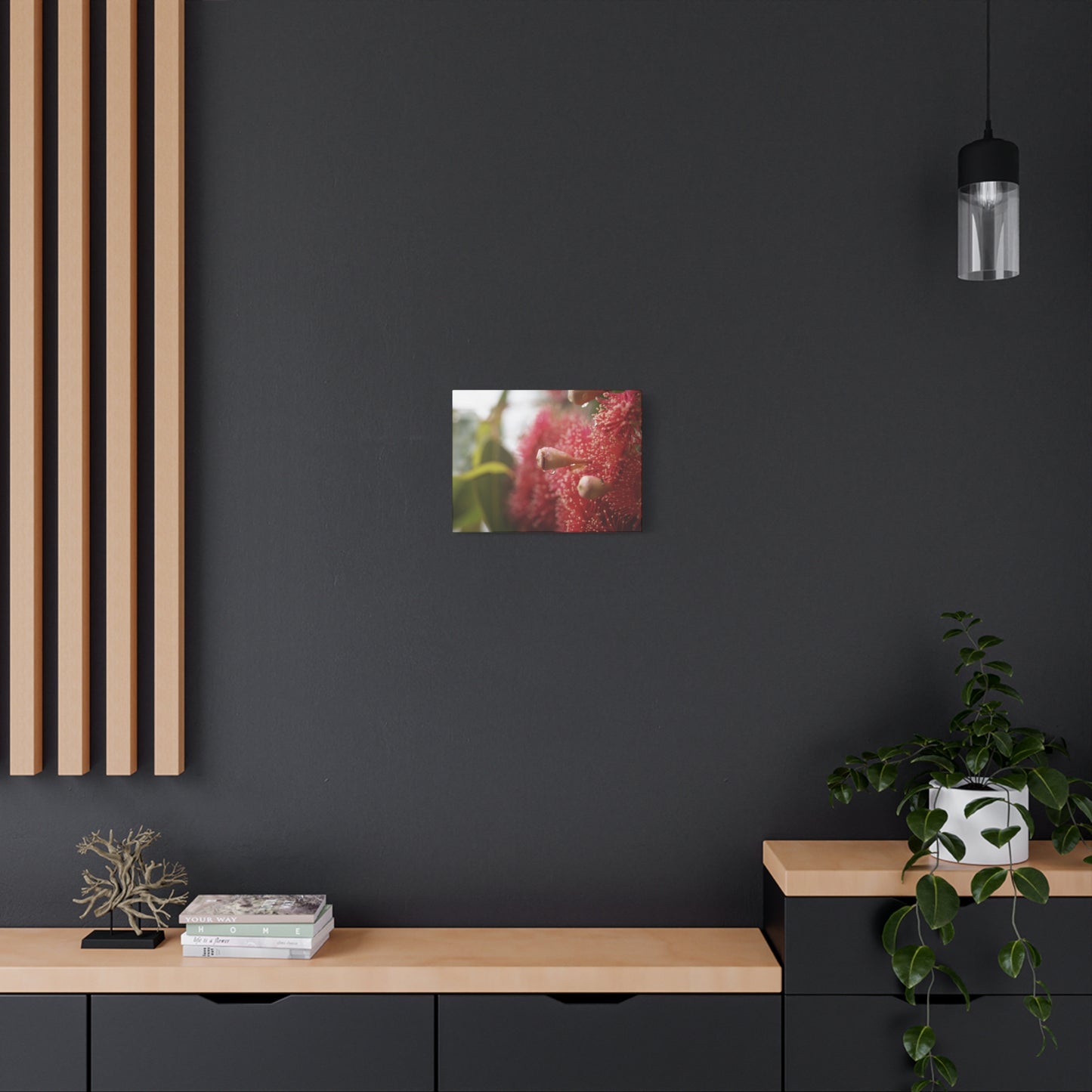 Flowering Gum Canvas Print