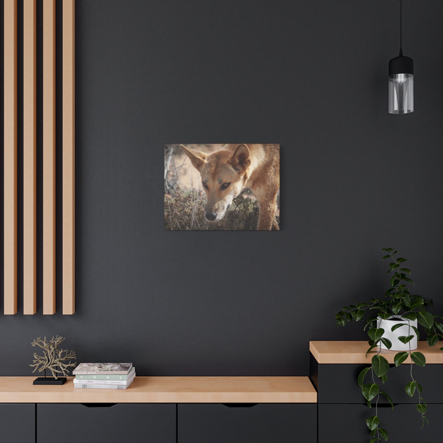 Dingo Canvas Print