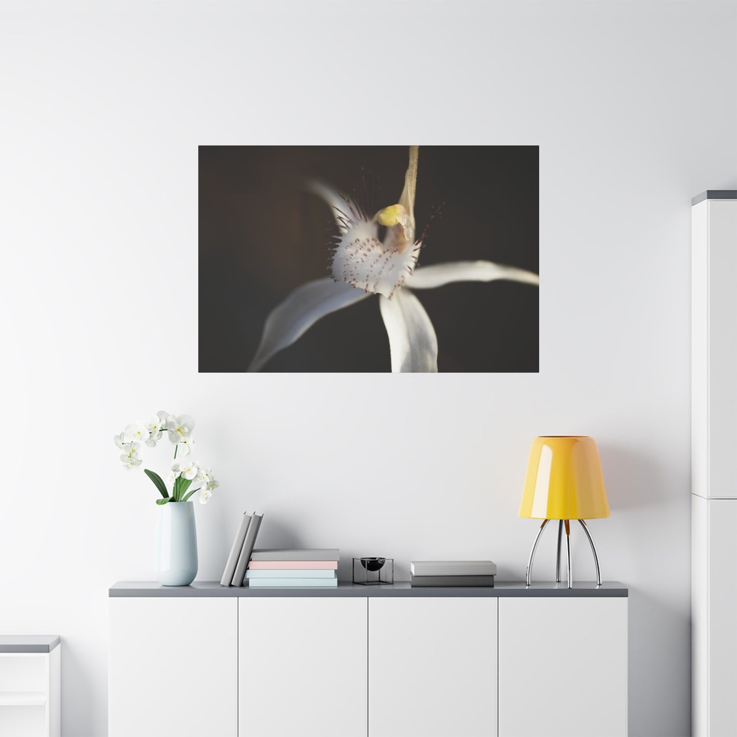 White Spider Orchid Canvas Print