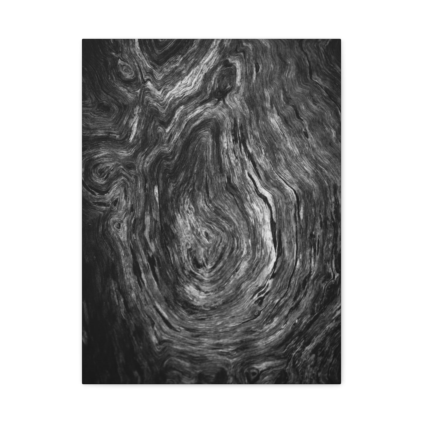 Wood Grain 1 BW Canvas Print