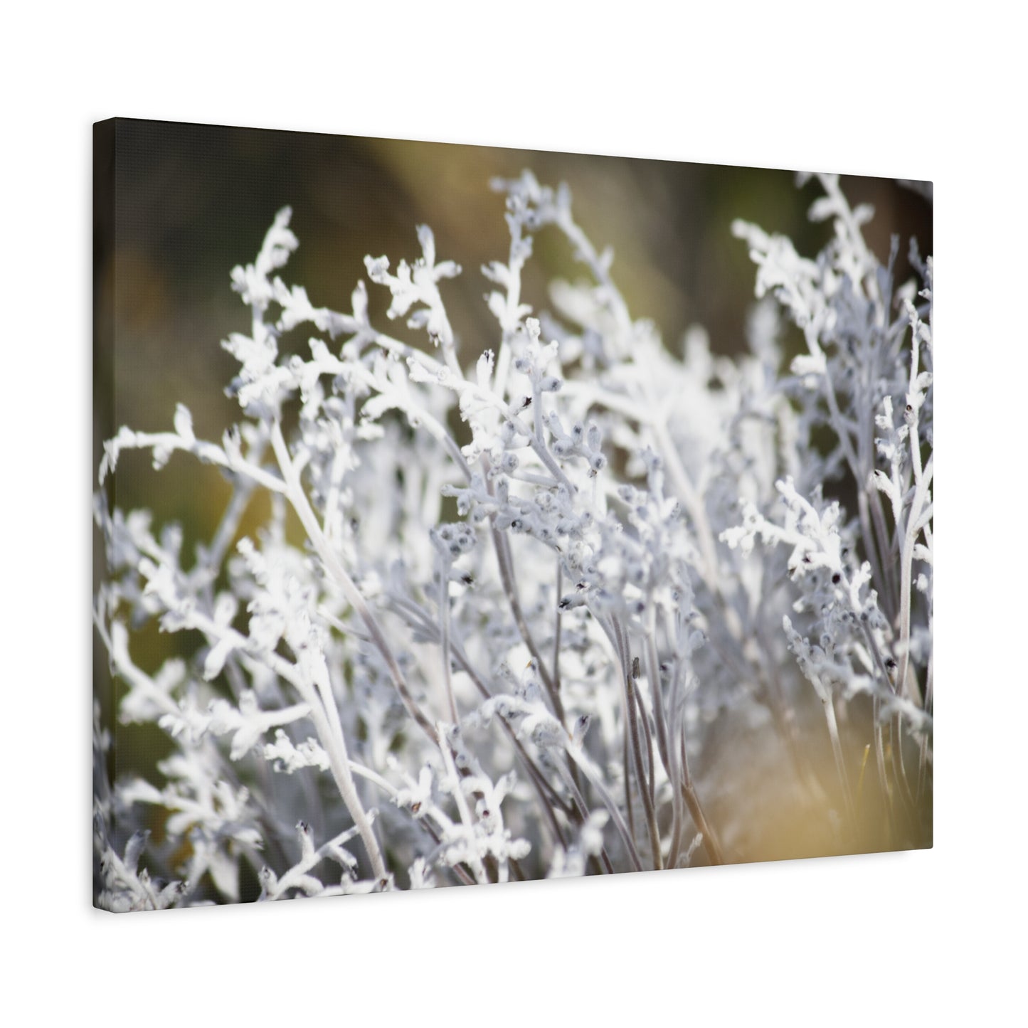 Smoke Canvas Print