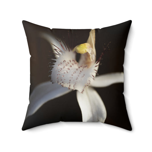 Spider Orchid Cushion