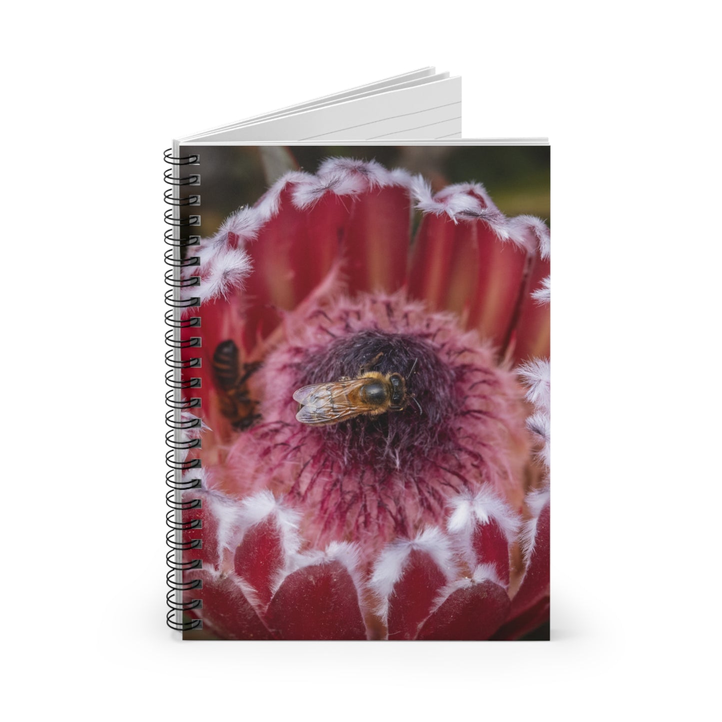 Feeding Bee Notebook