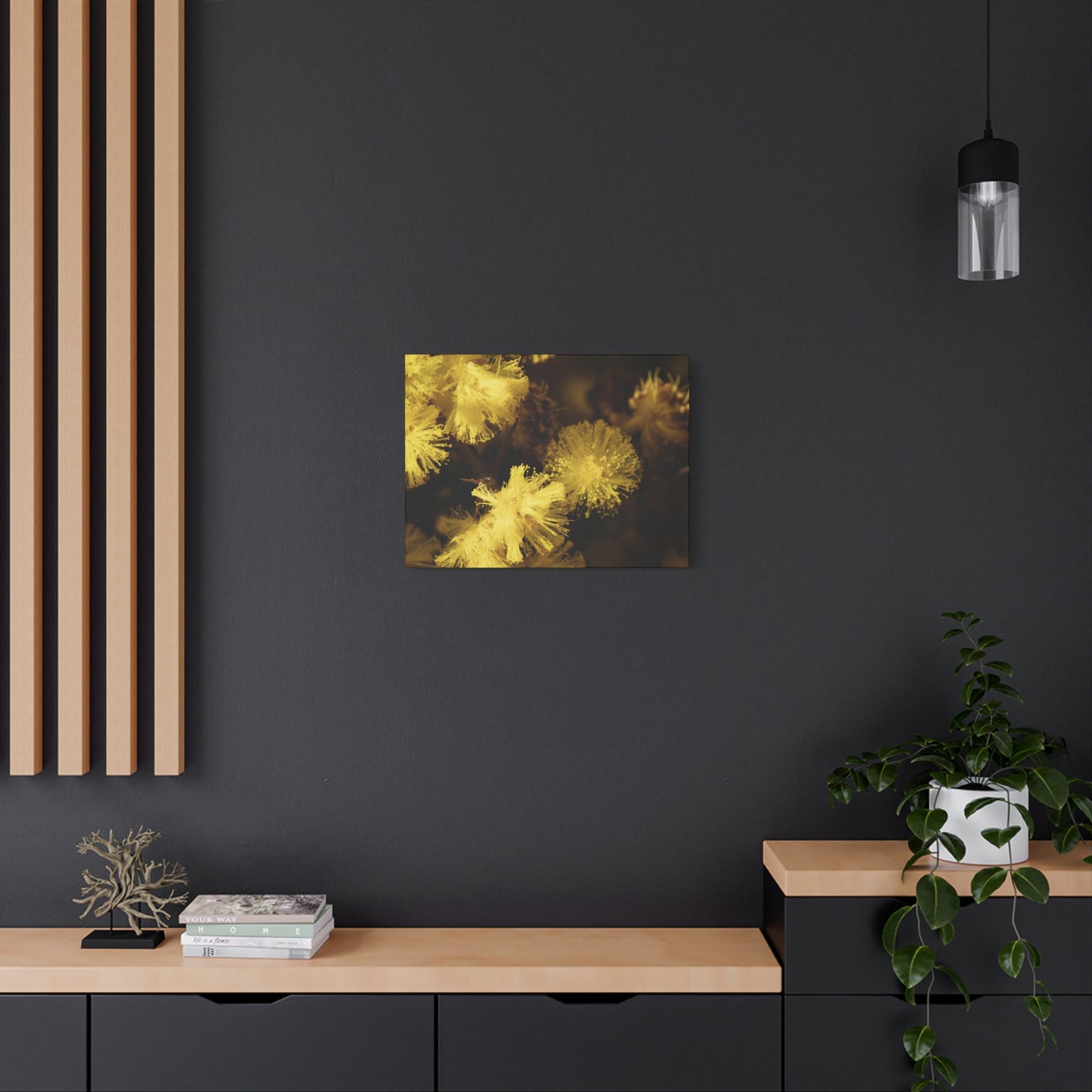 Wattle Canvas Print