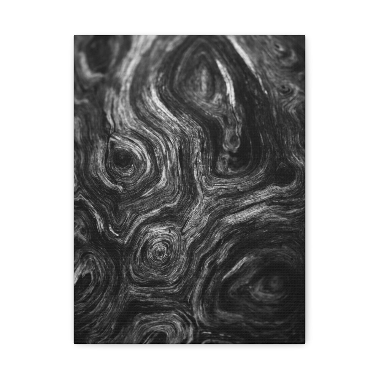 Wood Grain 2 BW Canvas Print