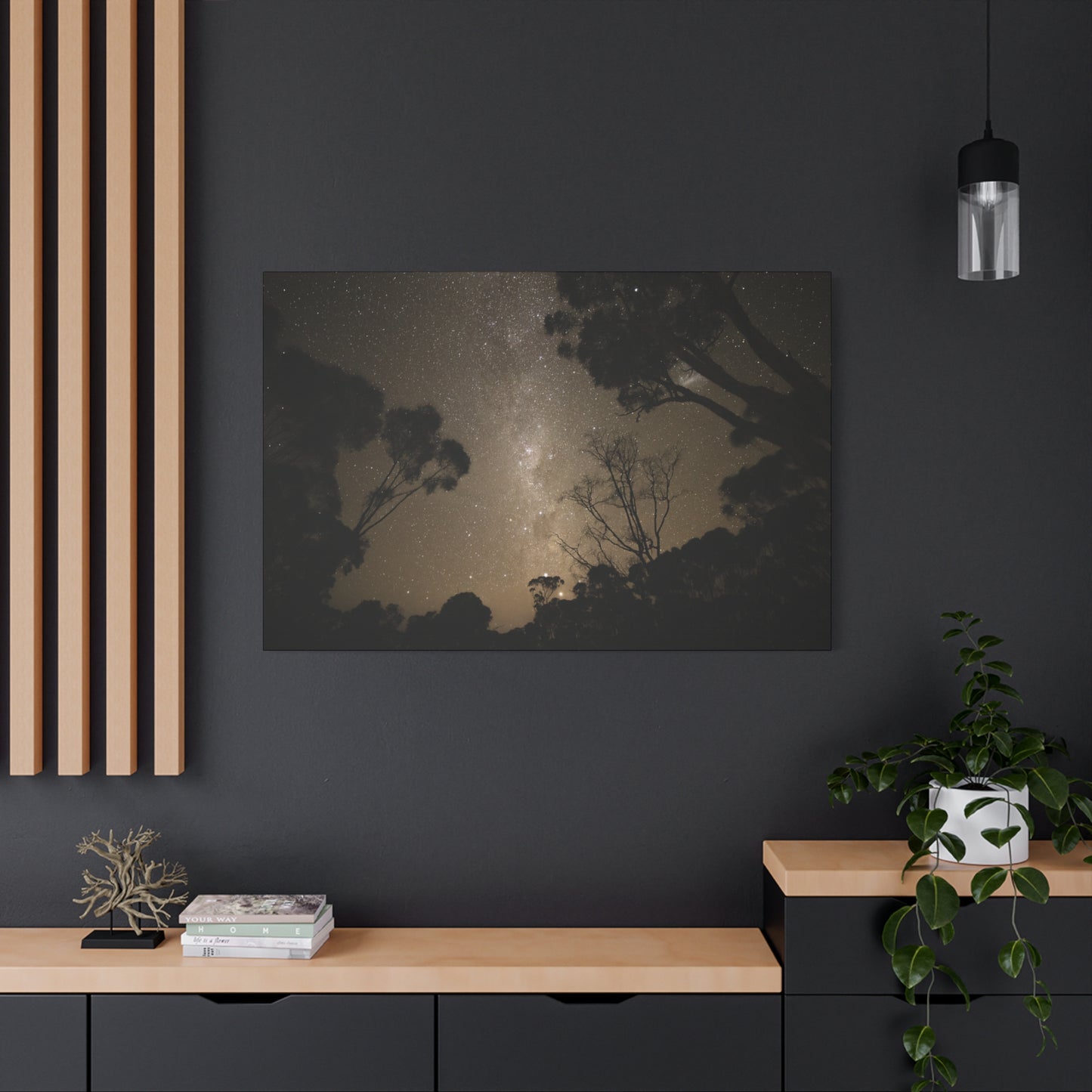 Dryandra Skies Canvas Print