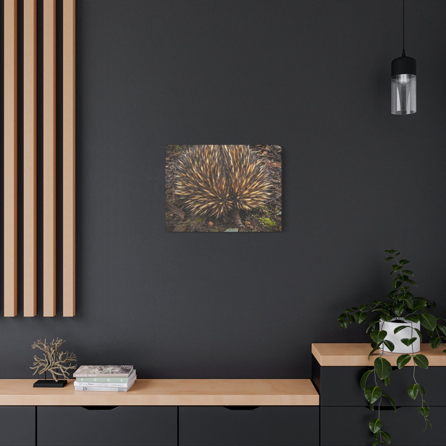 Spikey Canvas Print