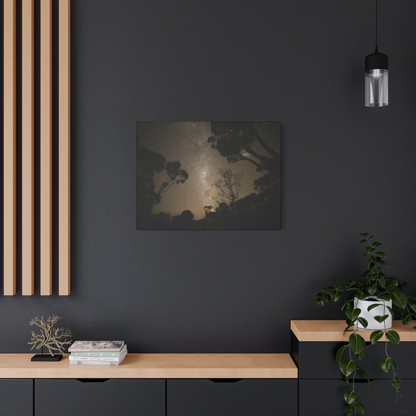 Dryandra Skies Canvas Print