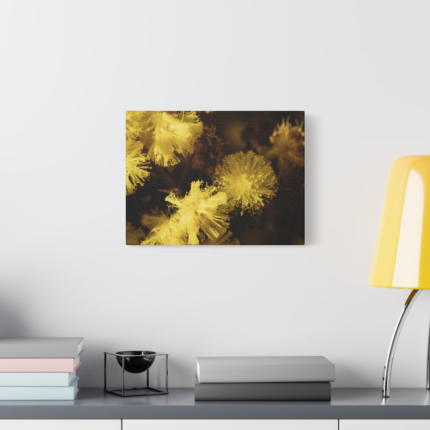 Wattle Canvas Print