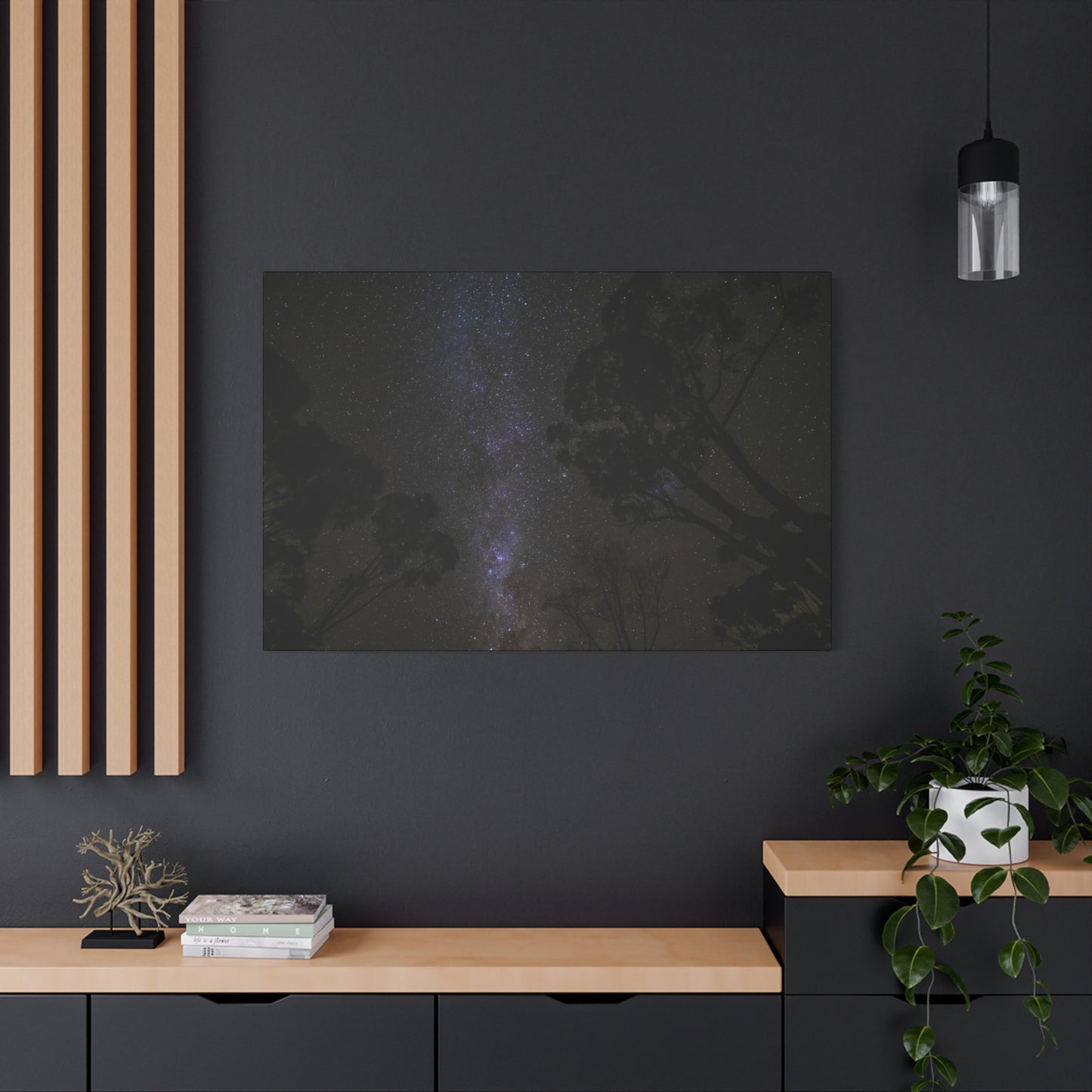 Dryandra Skies 3 Canvas Print