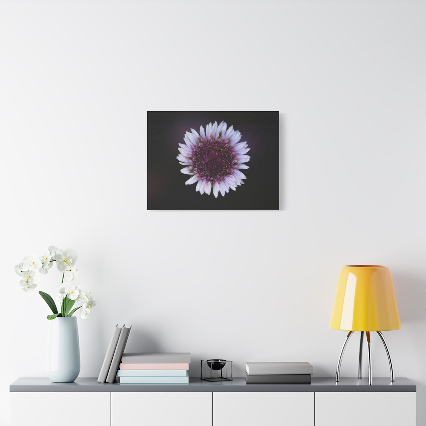 Pink Daisy Canvas Print