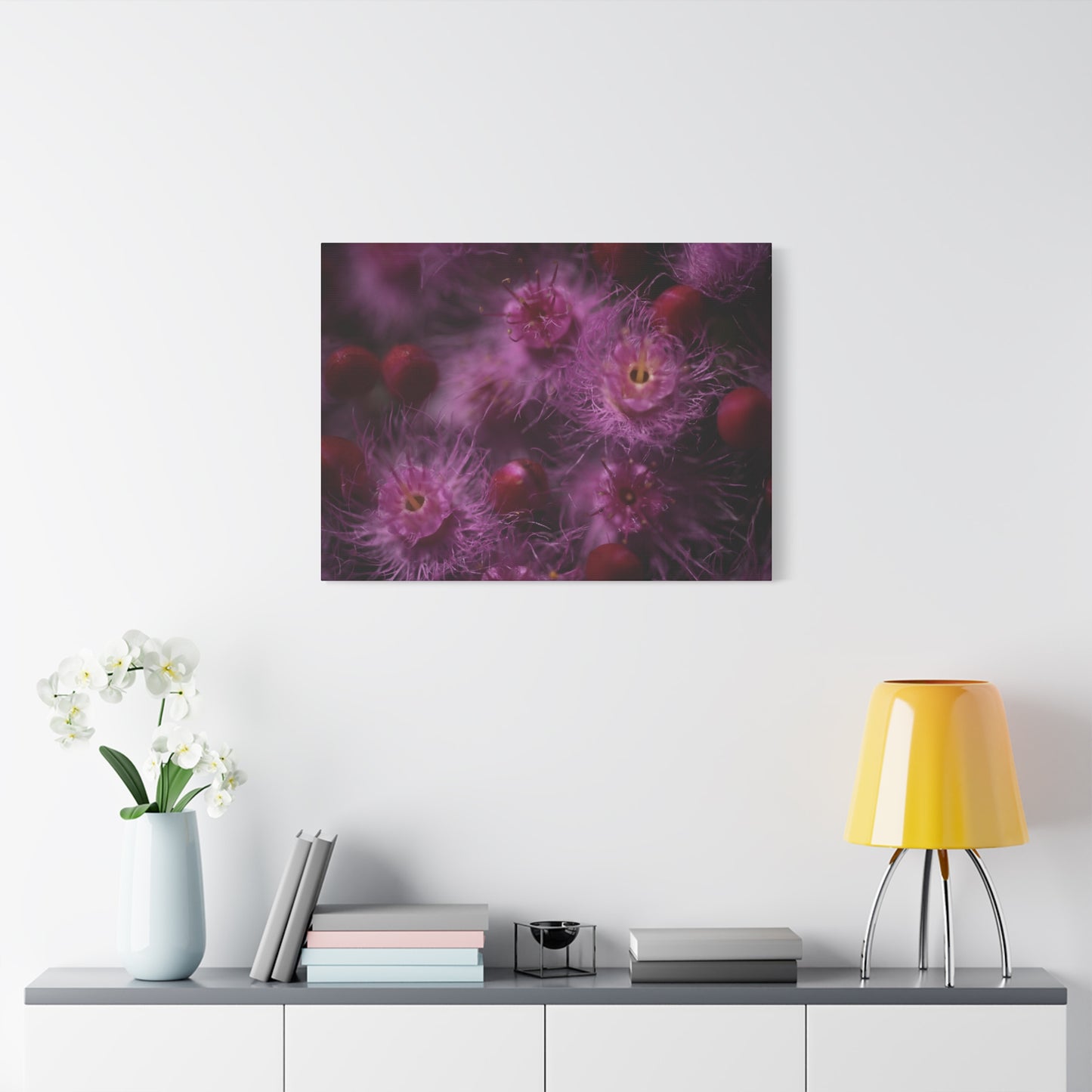 Verticordia Canvas Print