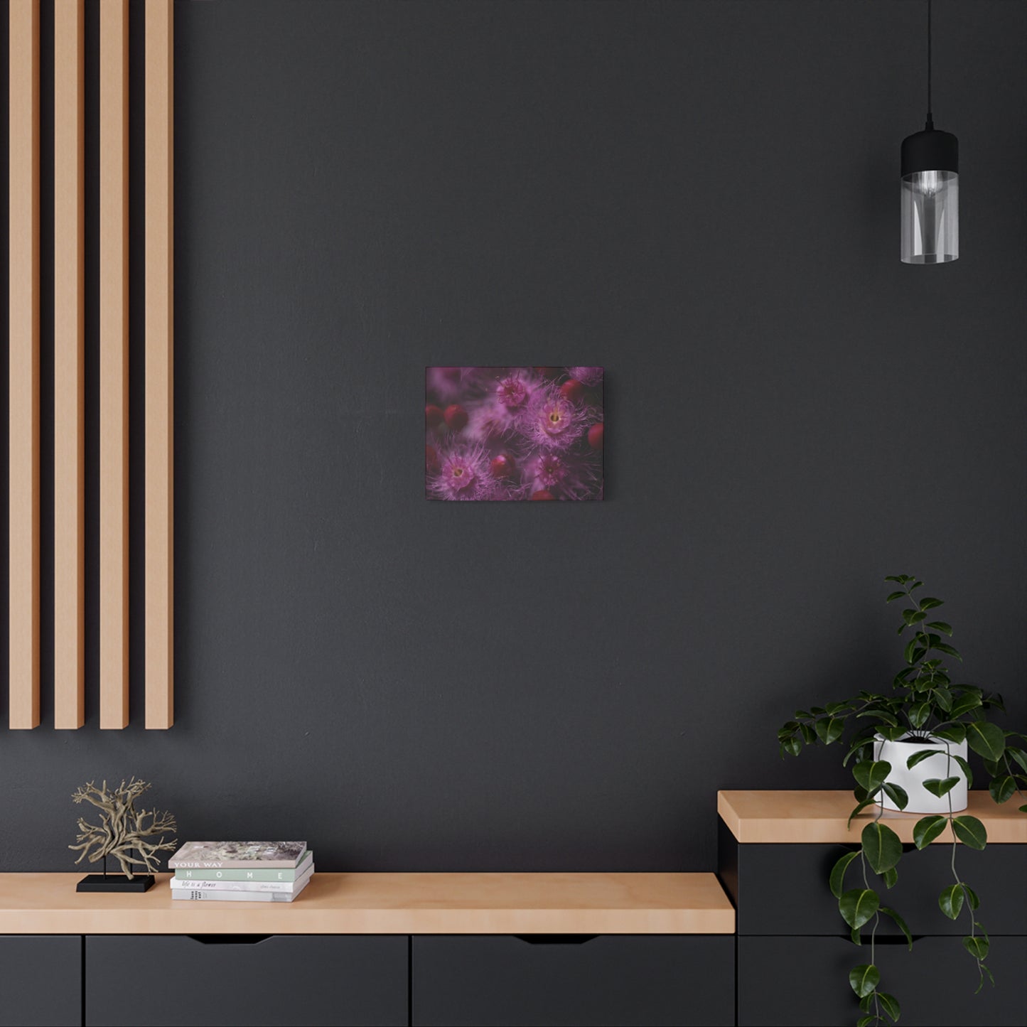 Verticordia Canvas Print