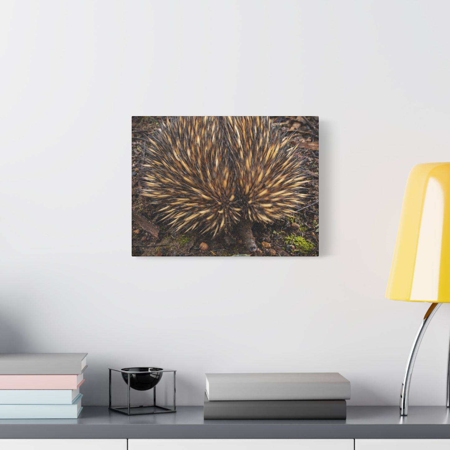 Spikey Canvas Print