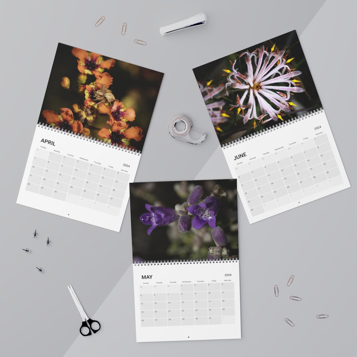 Wildflower Calendar (2024)