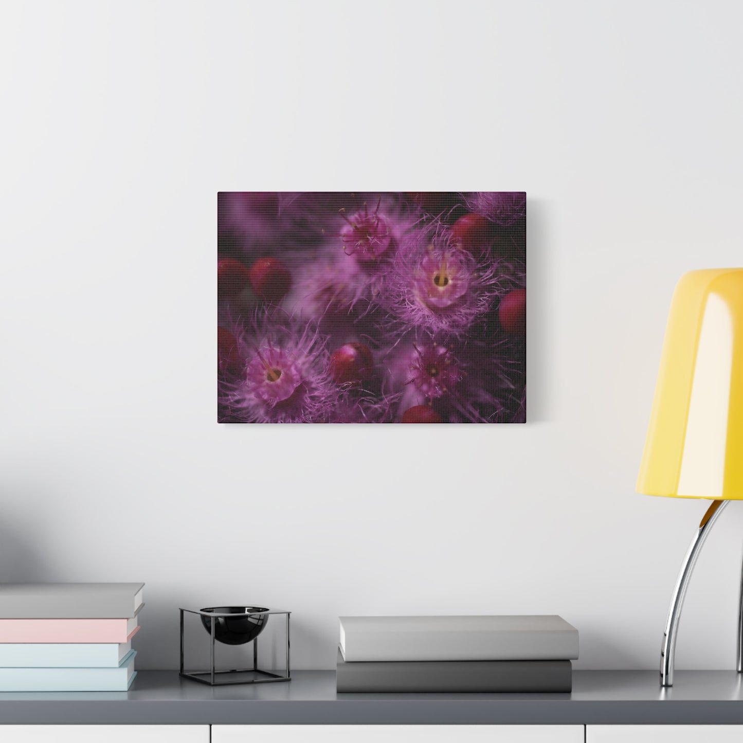 Verticordia Canvas Print