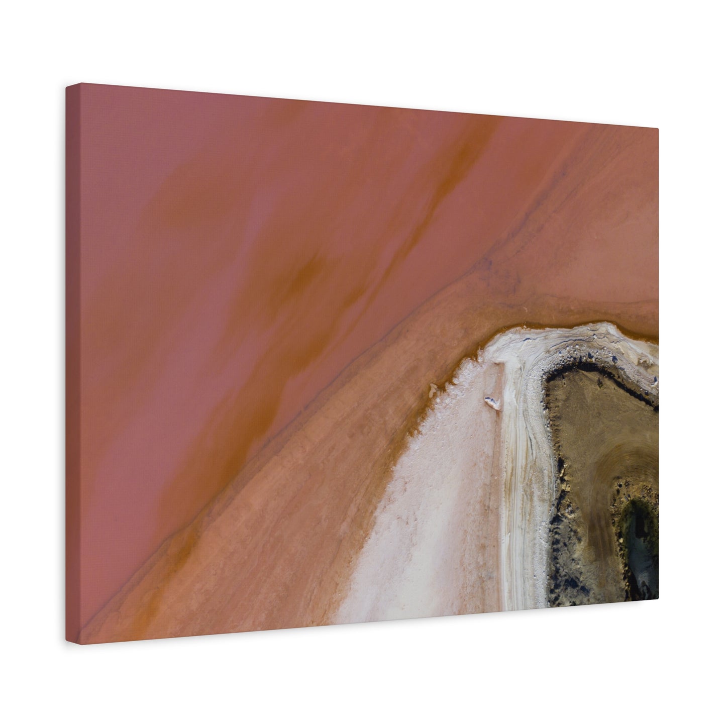 Pink Lake Canvas Print